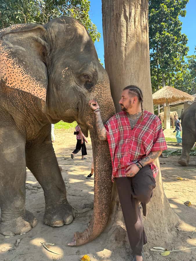 Chiang Mai: Elephant Sanctuary Guided Tour in Spanish - Natural jungle walking alongside elephants (and why it matters)