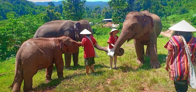 Chiang Mai: Elephant Sanctuary Local Hill Tribe Caretakers - Key highlights worth planning for