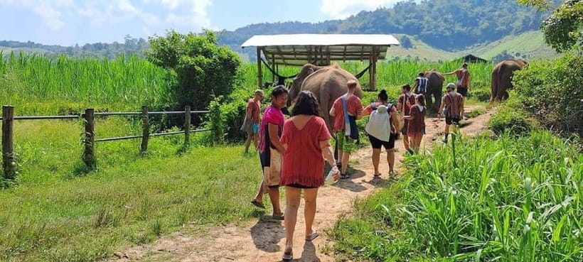 Chiang Mai: Elephant Sanctuary Local Hill Tribe Caretakers - Why This Elephant Sanctuary Day Feels More Honest Than Most
