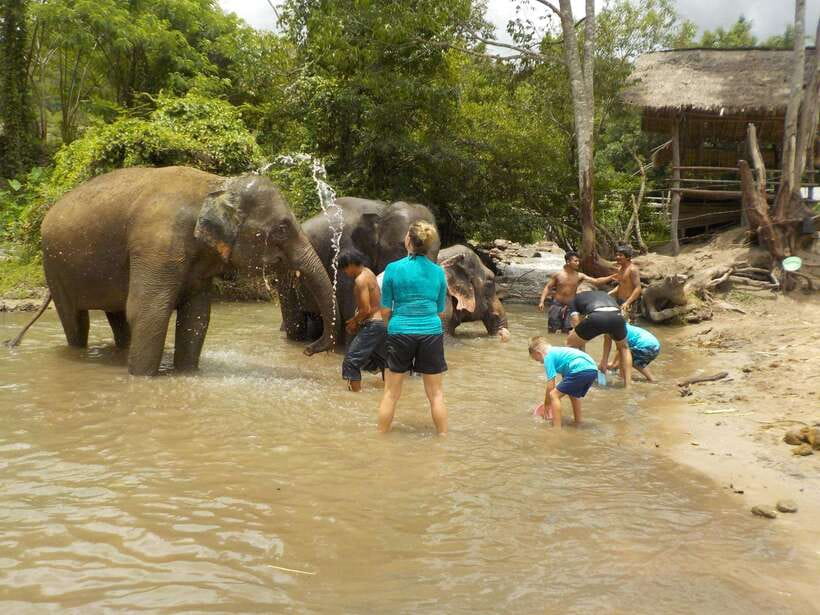 Chiang Mai: Elephant Sanctuary Local Hill Tribe Caretakers - Elephant Care Time: Feeding, Walking, Mud Bath, and River Washing