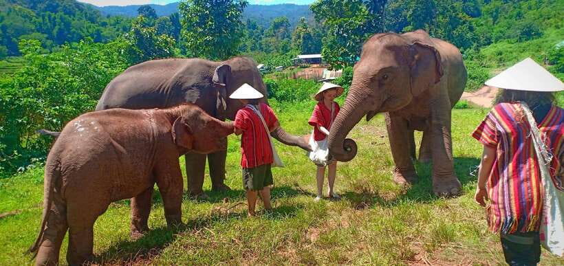 Chiang Mai: Elephant Sanctuary Local Hill Tribe Caretakers - Mae Wang Waterfall Hike: A Real 1-Hour Forest Break