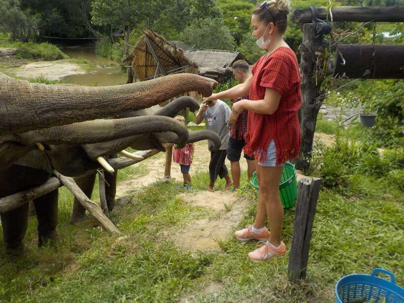 Chiang Mai: Elephant Sanctuary Local Hill Tribe Caretakers - Lunch at the Sanctuary: Refuel Without Losing the Mood