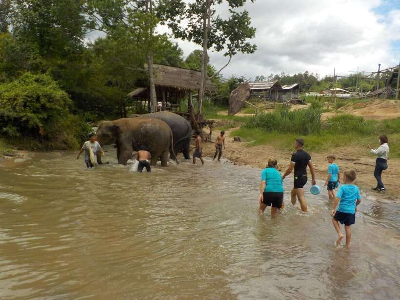 Chiang Mai: Elephant Sanctuary Local Hill Tribe Caretakers - Rules and Physical Reality: Who Should Sit This One Out