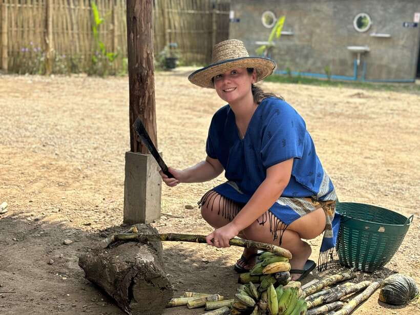 Chiang Mai: Elephant Sanctuary, Long Neck & Sticky Waterfall - Price and value: is $63 for 9 hours a good deal?