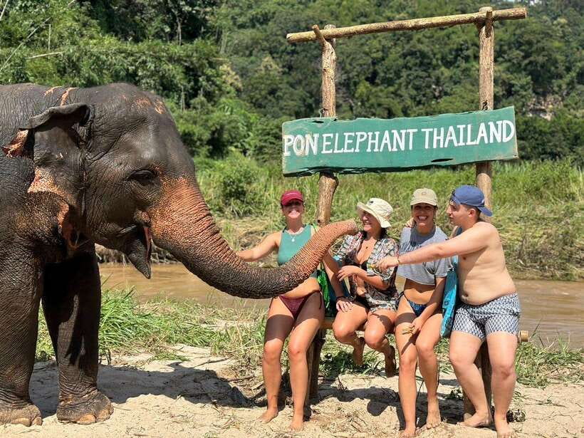 Chiang Mai: Elephant Sanctuary, Waterfall & Bamboo Rafting - Mae Wang Waterfalls: Swim Time and the Best Way to Beat the Heat
