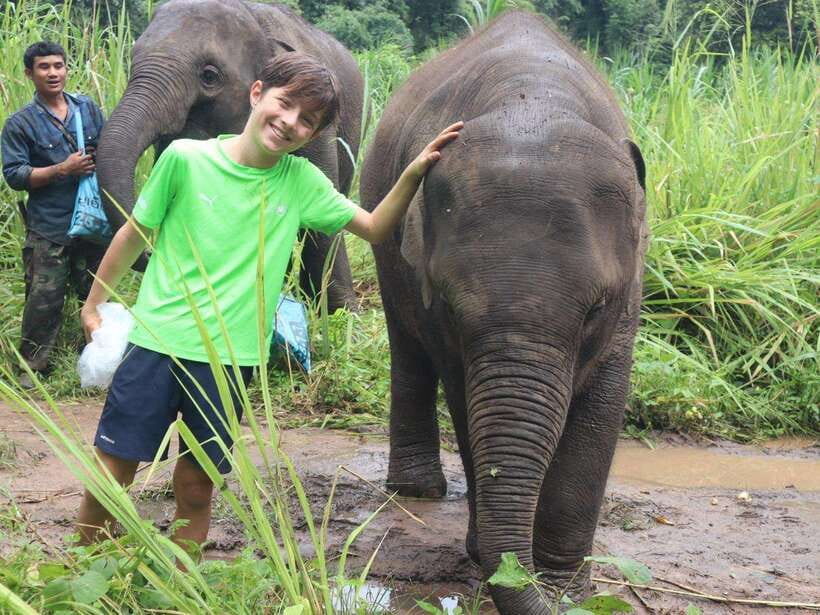 Chiang Mai: Elephant Sanctuary, Waterfall & Bamboo Rafting - Pon Elephant Thailand: Banana Feeding and Forest Foraging Walks