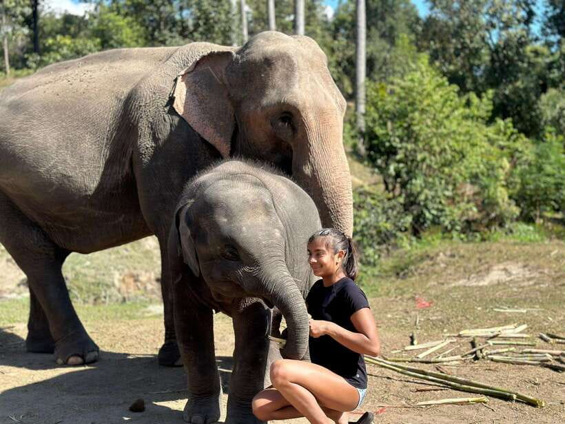 Chiang Mai: Elephant Sanctuary, Waterfall & Bamboo Rafting - Bathing the Elephants in Natural River Pools (Where the Day Gets Wet)