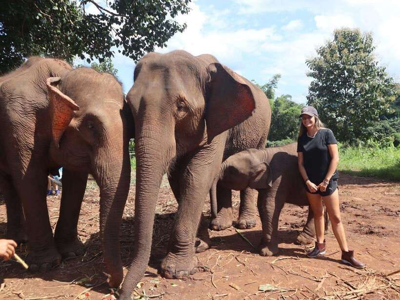 Chiang Mai: Elephant Sanctuary & Waterfall Group Tour - How the day starts: van comfort, countryside scenes, and a clear plan