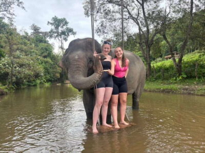 Chiang Mai: Elephant Sanctuary & Waterfall Group Tour - Pon Elephant Thailand: what “ethical” actually means in practice