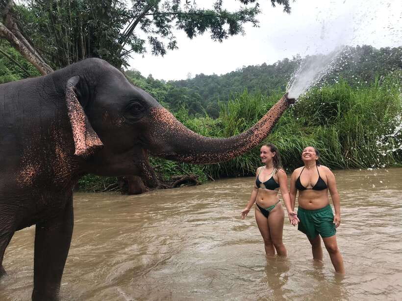 Chiang Mai: Elephant Sanctuary & Waterfall Group Tour - Mae Wang Waterfall hike: jungle paths, shoes, and swim rules that follow safety
