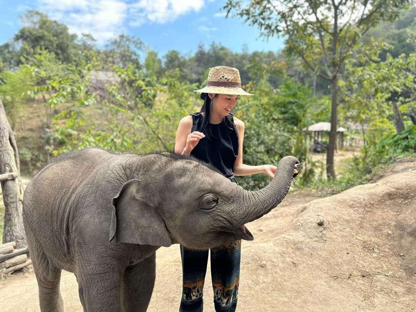 Chiang Mai: Elephant Sanctuary & Waterfall Group Tour - Price and value: why this can feel like more than $50