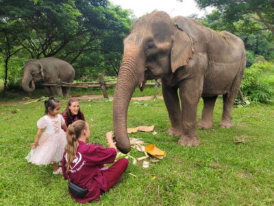 Chiang Mai: Elephants, Sticky Waterfalls, Market and Temple - Morning Market: Bugs, Snacks, and Real Rural Life Talk
