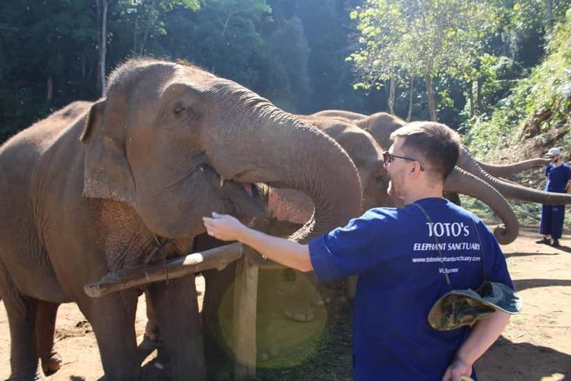 Chiang Mai: Elephants, Waterfall, and White Water Rafting - Key things to love about this Chiang Mai combo tour