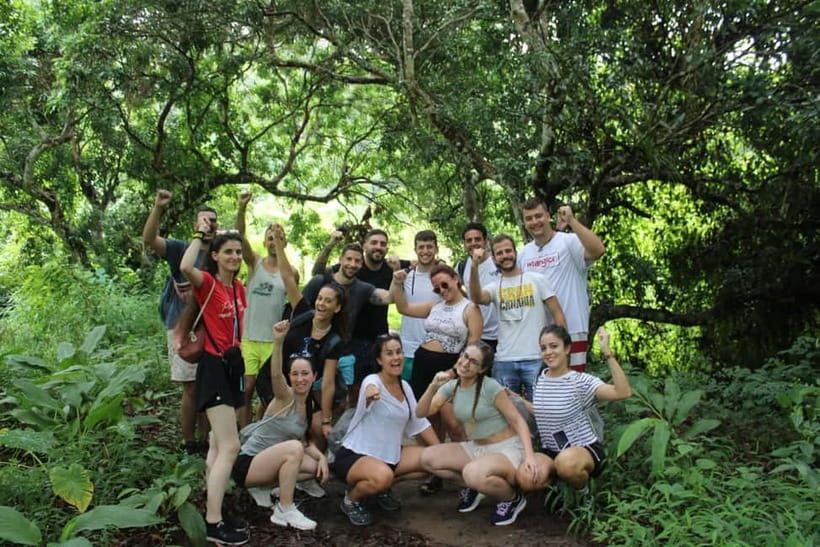 Chiang Mai: Elephants, Waterfall, and White Water Rafting - Who This Tour Fits Best (and Who Should Skip It)