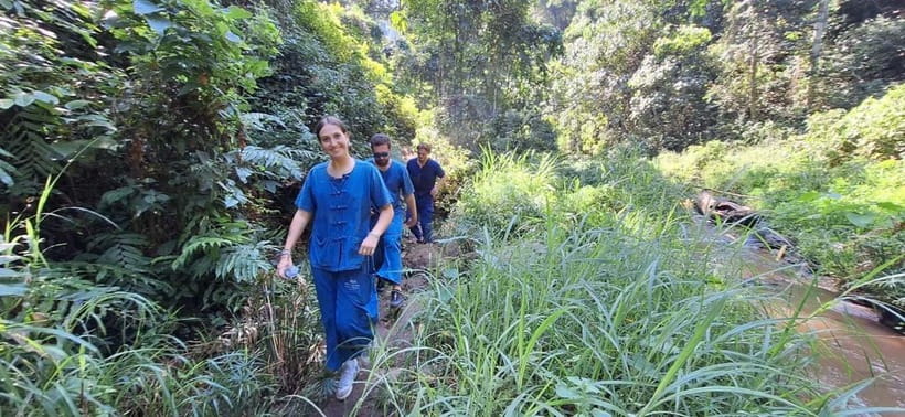 Chiang Mai: Elephants, Waterfall, and White Water Rafting - A Full-Day Mix of Elephants, Waterfall, and Mae Taeng Rafting