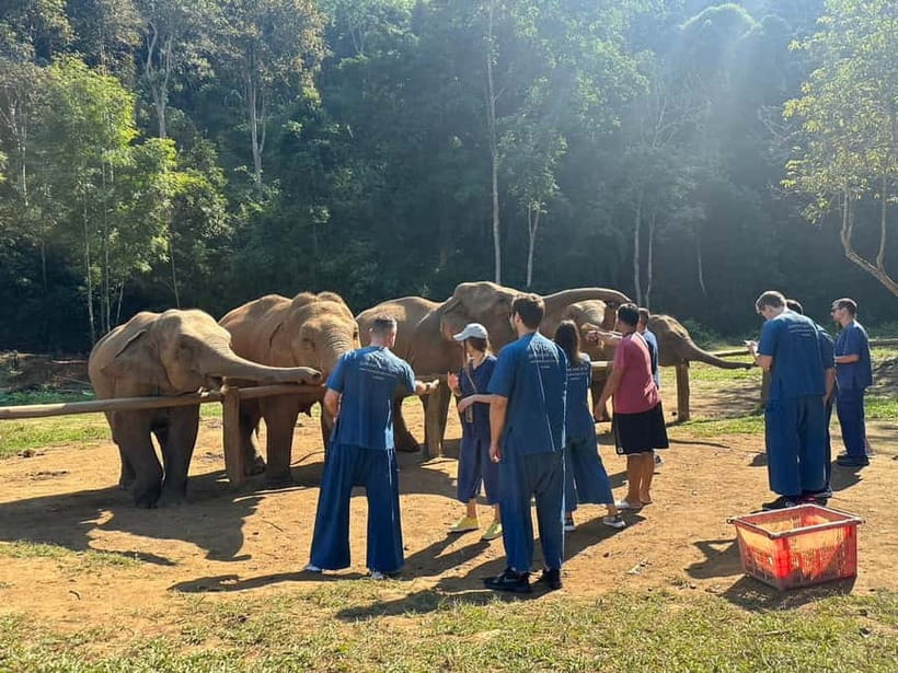 Chiang Mai: Elephants, Waterfall, and White Water Rafting - Ethical Elephant Sanctuary in Mae Taeng Jungle: What You’ll Actually Do