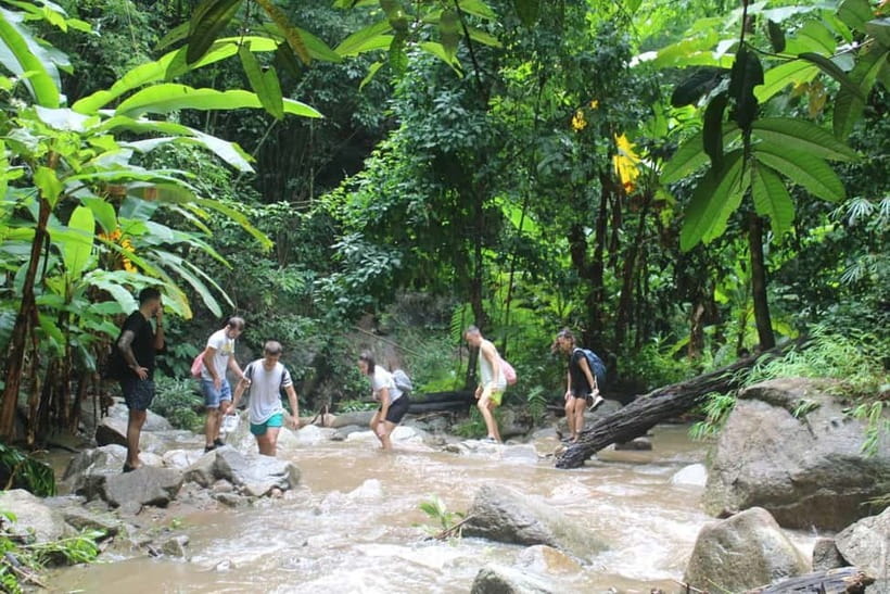 Chiang Mai: Elephants, Waterfall, and White Water Rafting - White-Water Rafting on the Mae Taeng River: Thrill With Structure