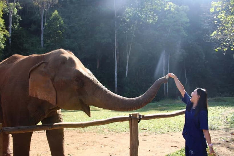 Chiang Mai: Elephants, Waterfall, and White Water Rafting - Getting Picked Up in Chiang Mai and Settling Into the Jungle Day