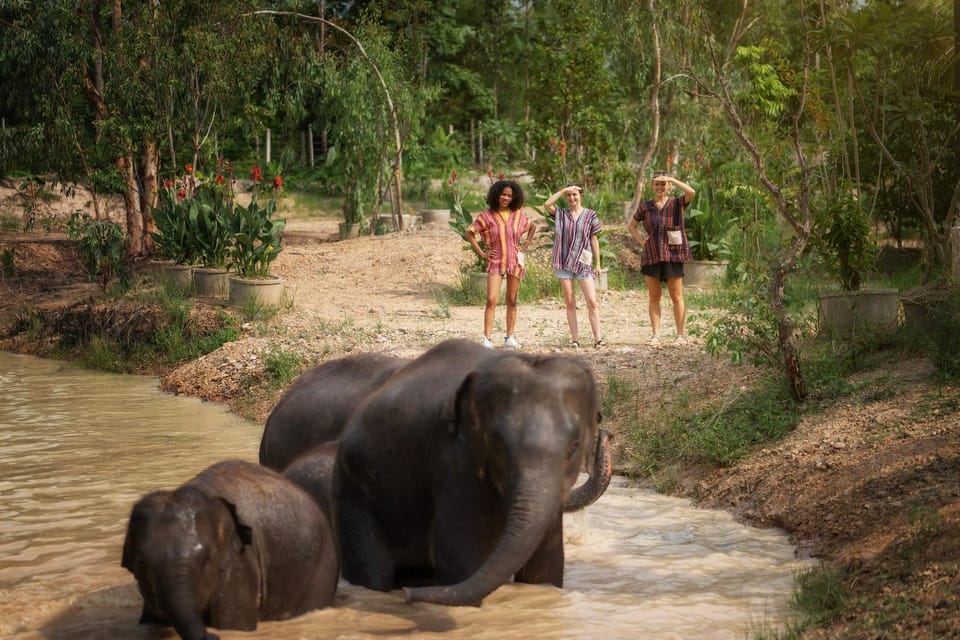 Chiang Mai: Ethical Elephant Encounter Feeding Program - Who should book this elephant encounter, and who should skip it