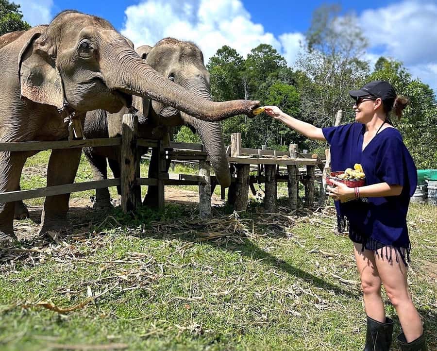 Chiang Mai : Ethical Elephant Sanctuary and ATV Adventure - Key Things to Know Before You Go