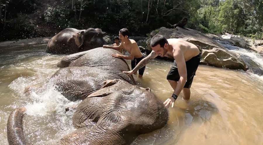 Chiang Mai : Ethical Elephant Sanctuary and ATV Adventure - Living Green Elephant Sanctuary: elephant time on their terms