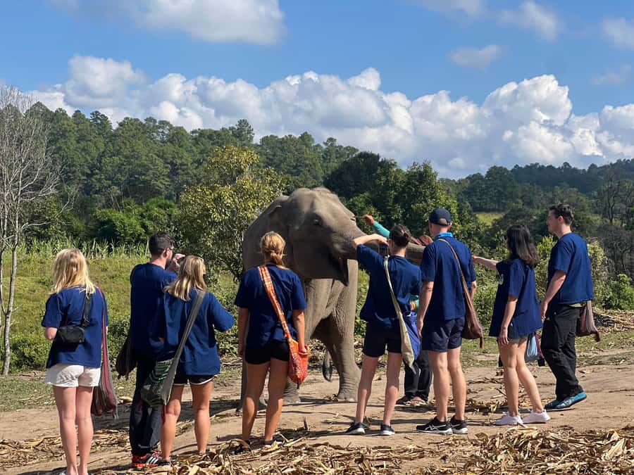 Chiang Mai : Ethical Elephant Sanctuary and ATV Adventure - ATV in the hills: quad bike fun with real outdoors time