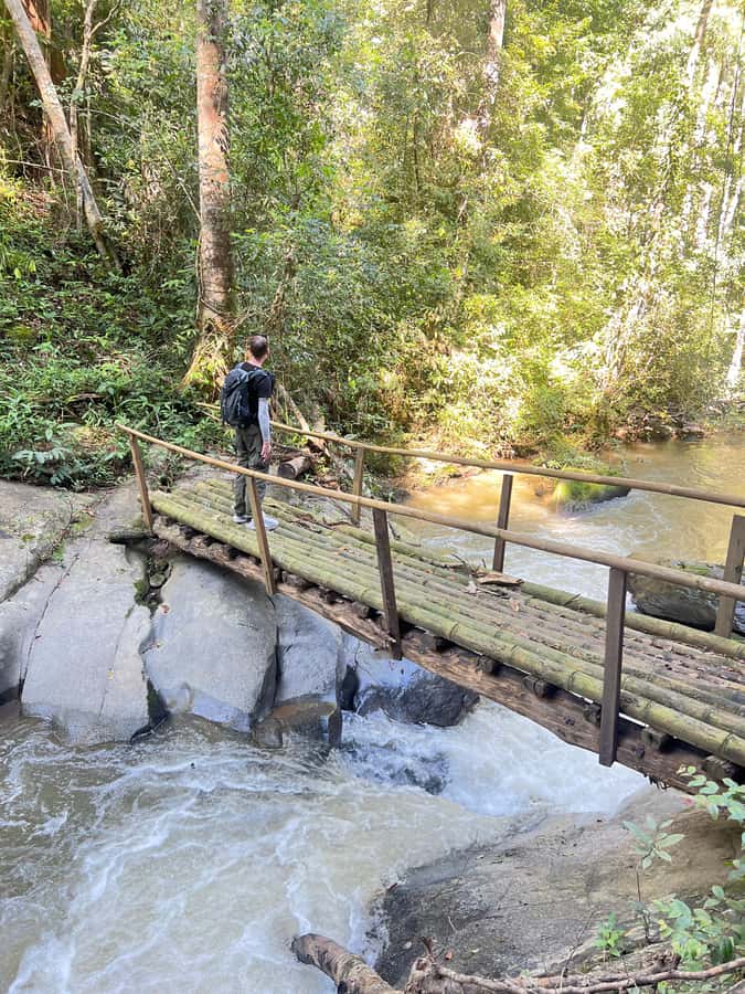 Chiang Mai : Ethical Elephant Sanctuary and ATV Adventure - Who should book this day, and who might want to skip