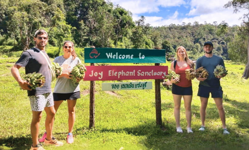 Chiang Mai: Ethical Half Day Elephant Sanctuary & Waterfall - Where Joy Elephant Sanctuary fits in your Chiang Mai plan