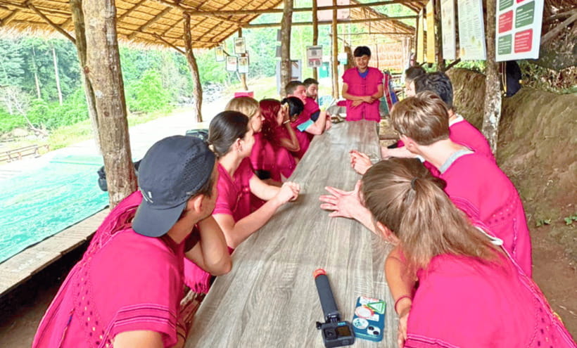 Chiang Mai: Ethical Half Day Elephant Sanctuary & Waterfall - The elephant feeding session: how to do it the right way