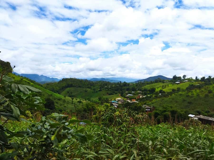 Chiang Mai: Full Day 5 Hill Tribes Tour - Key things to know before you go