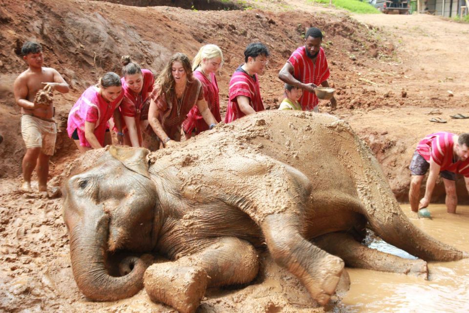 Chiang Mai: Full-Day Kerchor Elephant Eco Park Tour & Trek - Elephant eco-park basics: what you’ll learn before you get hands-on