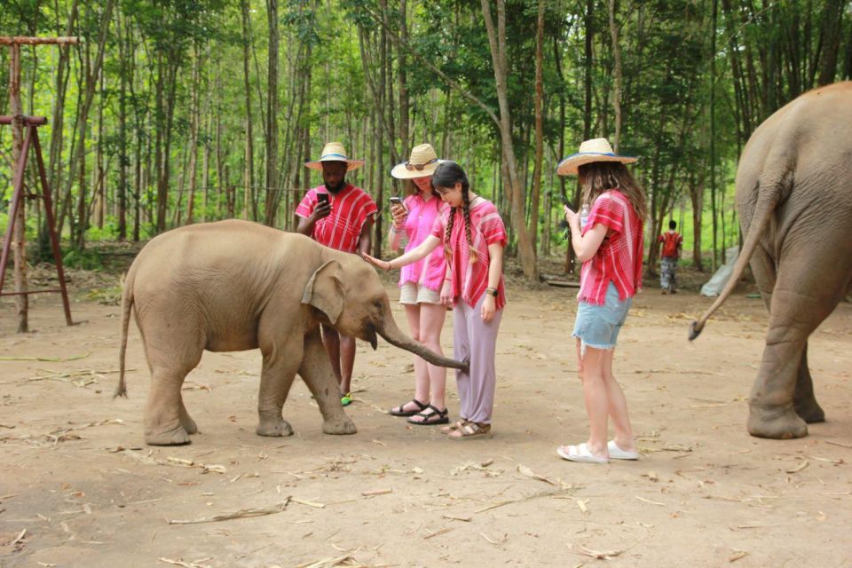Chiang Mai: Full-Day Kerchor Elephant Eco Park Tour & Trek - Walking with the elephants and watching them socialize