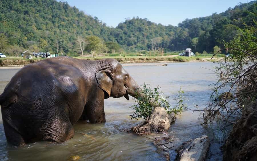 Chiang Mai Half-Day Adventure: River Tubing & Waterfall - Mae Taeng River Tubing: Why This Feels So Easy and Fun