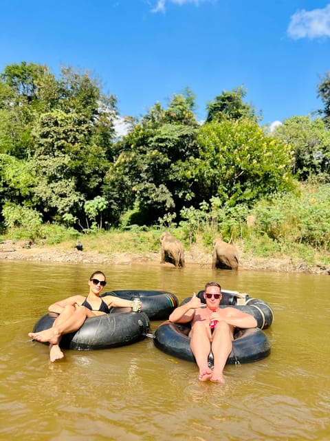 Chiang Mai Half-Day Adventure: Tubing & Elephant Feeding - Price check: is $77 good value in Chiang Mai elephant country?