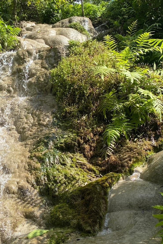 Chiang Mai Half Day Tour: Sticky Waterfall & Hotel Transfer - How to use your time: 2 hours is enough if you plan your route
