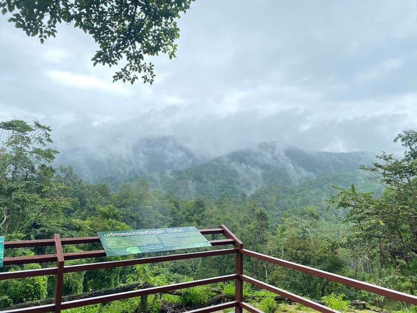 Chiang Mai Half Day Tour: Sticky Waterfall & Hotel Transfer - Who should book this, and who should skip it