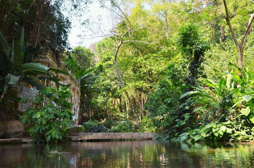 Chiang Mai: Hike on Monk’s Trail and Doi Suthep Private Tour - How the tour guide changes the whole day