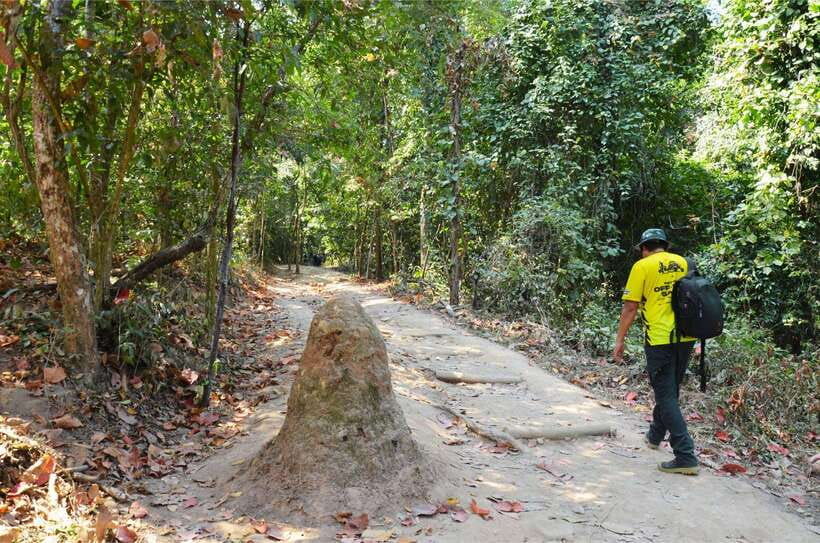 Chiang Mai: Hike on Monk’s Trail and Doi Suthep Private Tour - What to wear and bring for comfort on Doi Suthep