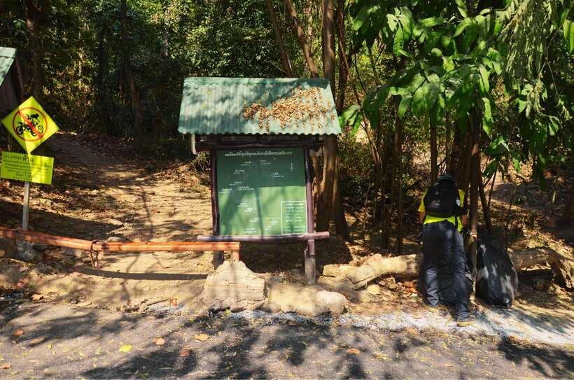 Chiang Mai: Hike on Monk’s Trail and Doi Suthep Private Tour - Who this private hike is best for (and who should skip)
