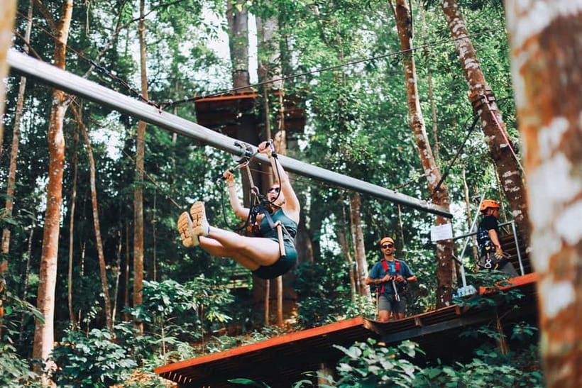 Chiang Mai: Jungle Flight Zip Line Roller Coaster - Where Jungle Flight Starts: Pickup, the Drive, and the 1000-Year-Old Forest