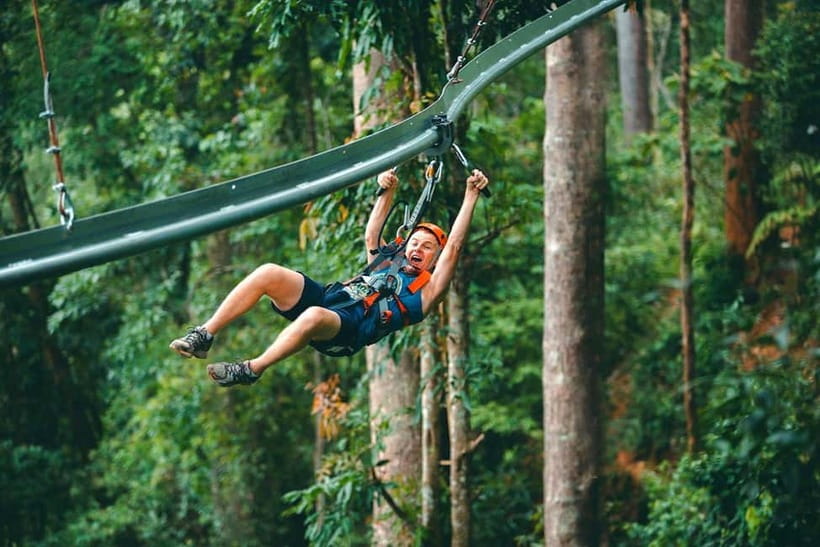 Chiang Mai: Jungle Flight Zip Line Roller Coaster - The Zip Line Course: How the Day Moves From Prep to 2+ Hours in the Trees