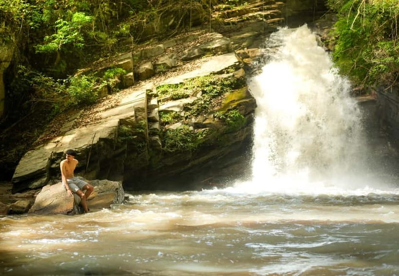 Chiang Mai: Jungle Jumbo Elephant Sanctuary with Waterfall - A 6-hour Chiang Mai Plan: Village Stop, Jungle Waterfall, Elephant Bath