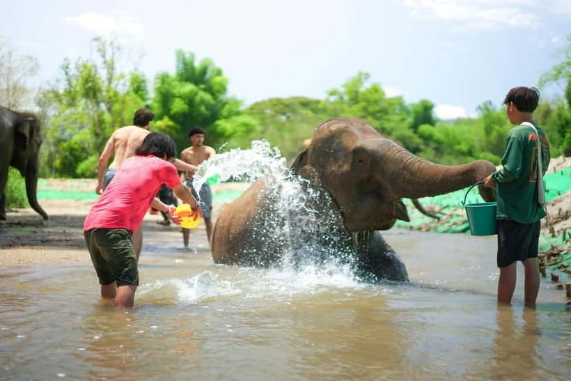 Chiang Mai: Jungle Jumbo Elephant Sanctuary with Waterfall - Jungle to the secret waterfall: what you’ll actually need