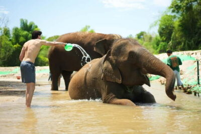 Chiang Mai: Jungle Jumbo Elephant Sanctuary with Waterfall - The Thai village walk: culture that sets the tone