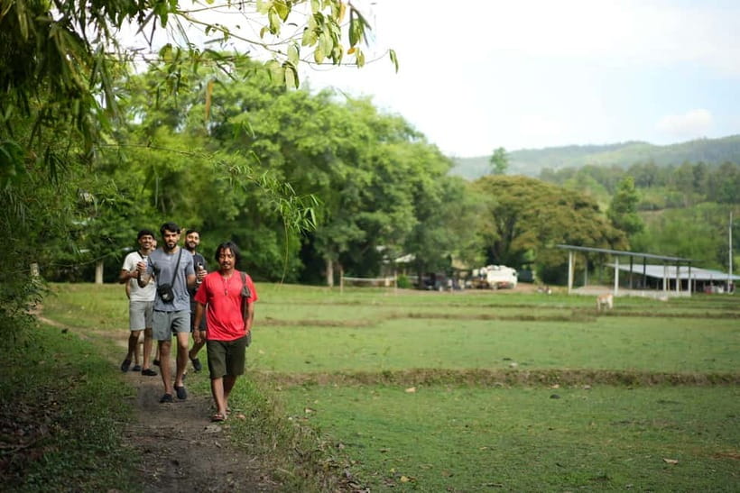 Chiang Mai: Jungle Jumbo Elephant Sanctuary with Waterfall - Lunch breaks that actually taste like Thailand