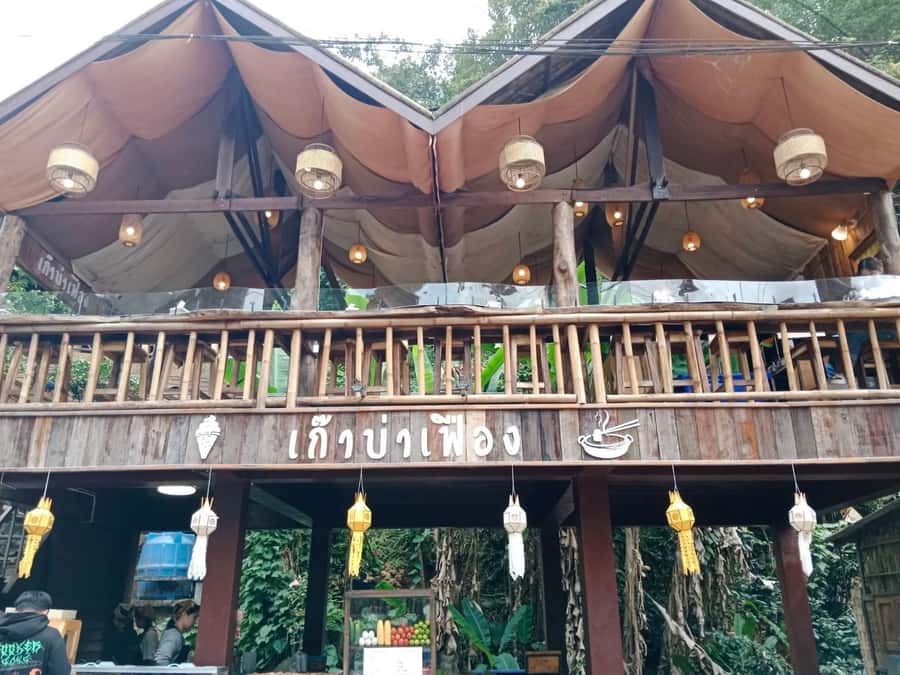 Chiang Mai: Mae Kampong Village, Hot Springs & Bor Sang Tour - Price and Value: What You’re Really Buying for $112