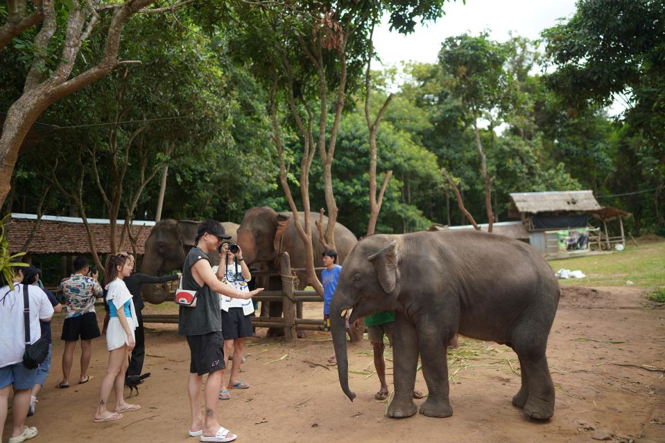 Chiang Mai: National Elephant Care, Rafting, & Ziplines Trip - Making a herbal vitamin ball for elephants
