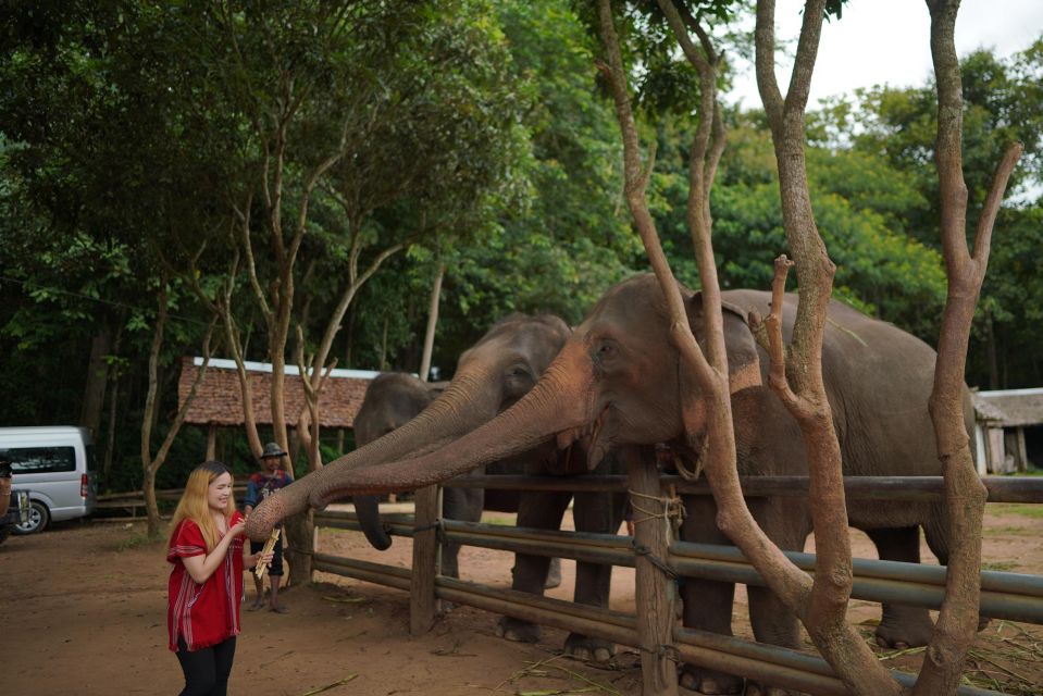 Chiang Mai: National Elephant Care, Rafting, & Ziplines Trip - Bamboo rafting on the Mae Wang River: short, sweet, scenic