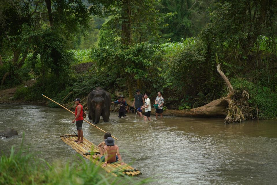 Chiang Mai: National Elephant Care, Rafting, & Ziplines Trip - Lunch by the river: where the day actually slows down