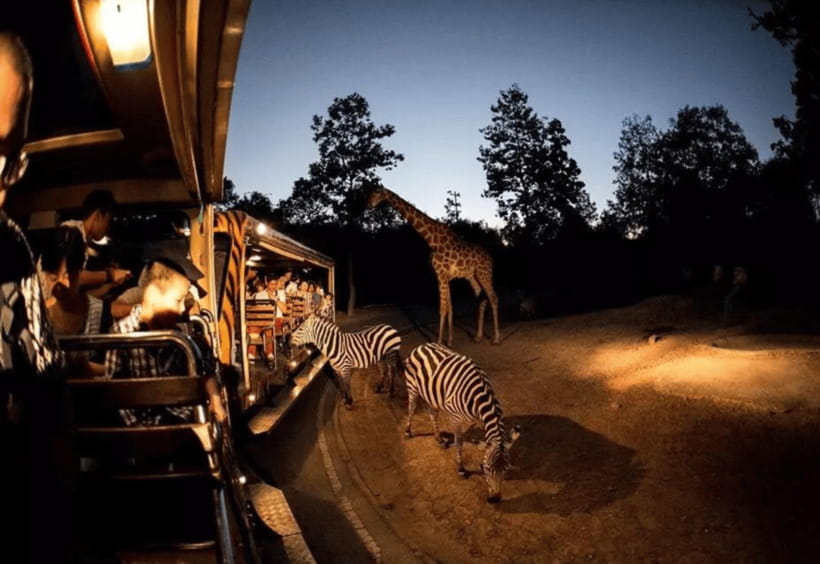 Chiang Mai: Night Safari Ticket with Transfer - Chiang Mai Night Safari: three zones, one night schedule